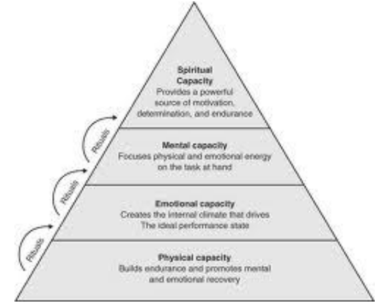 The high performance pyramid management theory and how it can apply to athletes as well