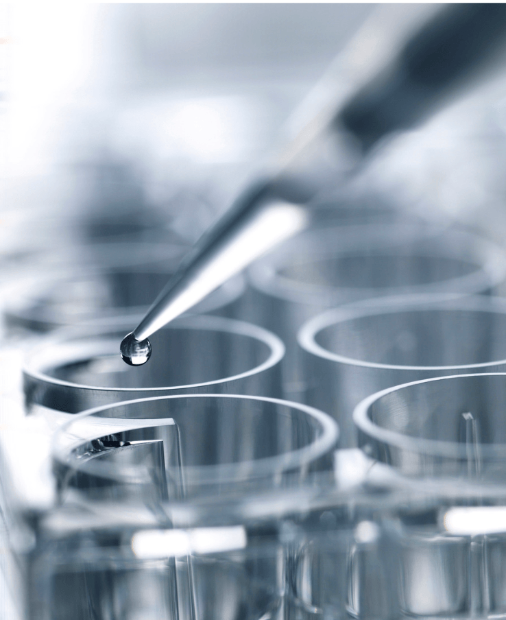 Pipette dropping liquid into a petri dish, laboratory testing