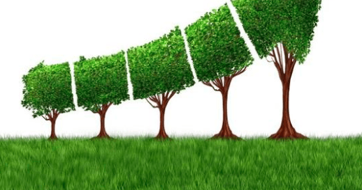 The move towards Enlightened economics