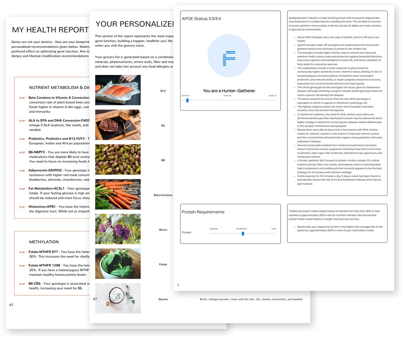 Three pages fanned out from a myDNA Comprehensive Health Report: the report introduction, the personalised grocery list and the APOE status page