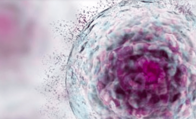 Mobilising Stem Cells for Repair, anti-aging, healing